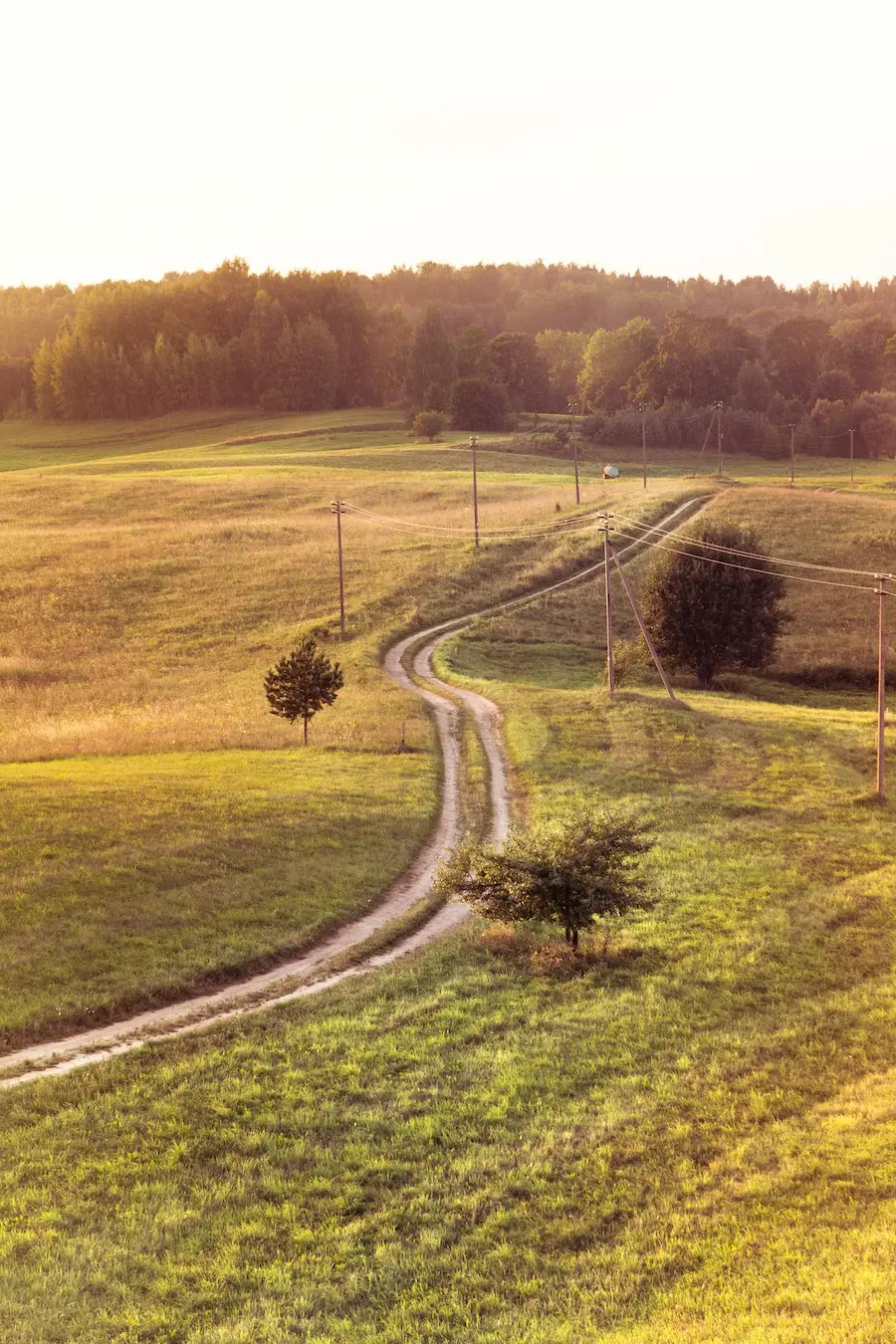 Emprendiendo Rural | Adrián Satué – Impulso a tu proyecto rural
